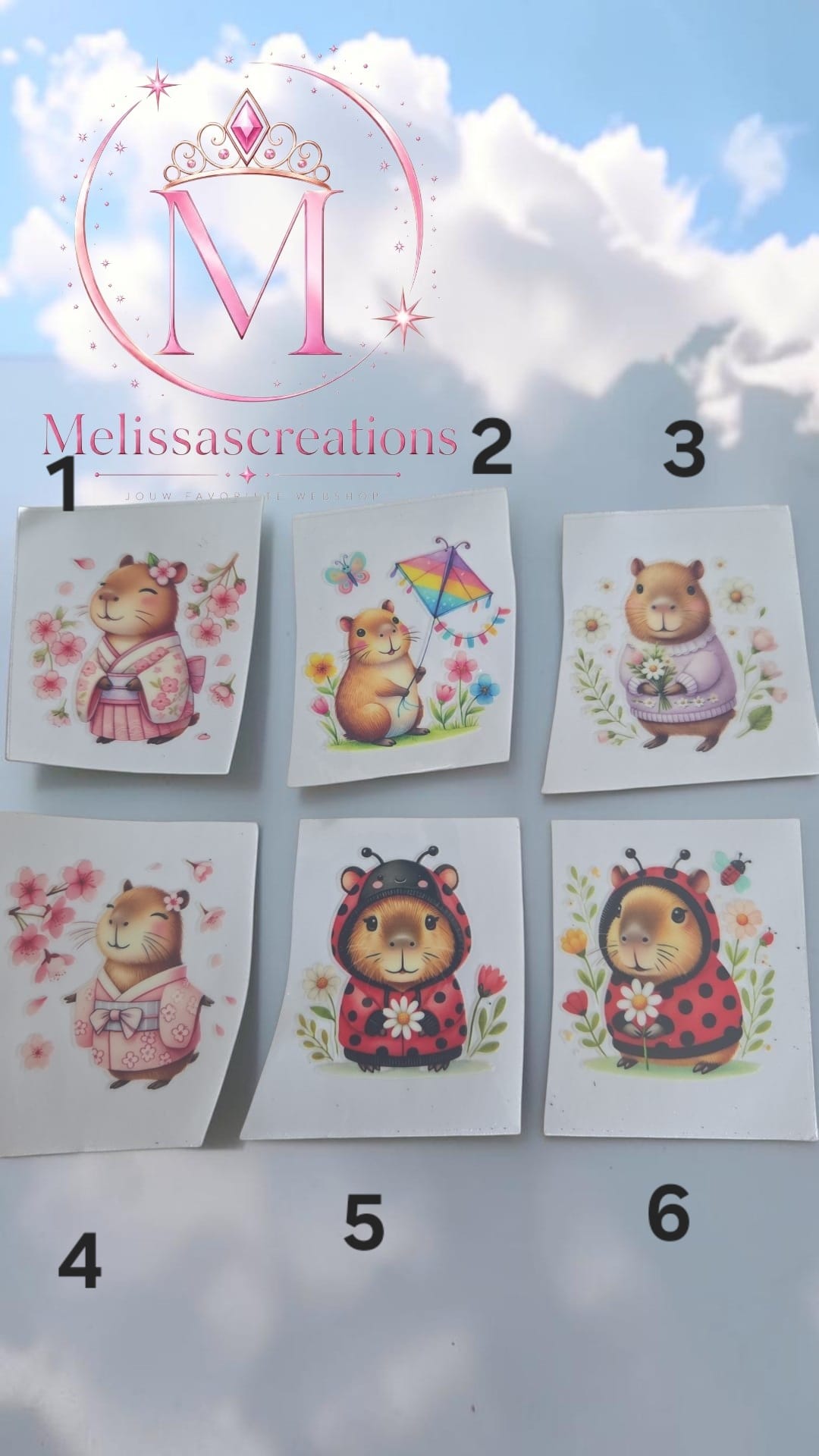 Stickers mok 12