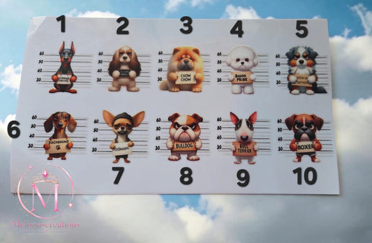 Stickers sleutelhanger/bakje 30