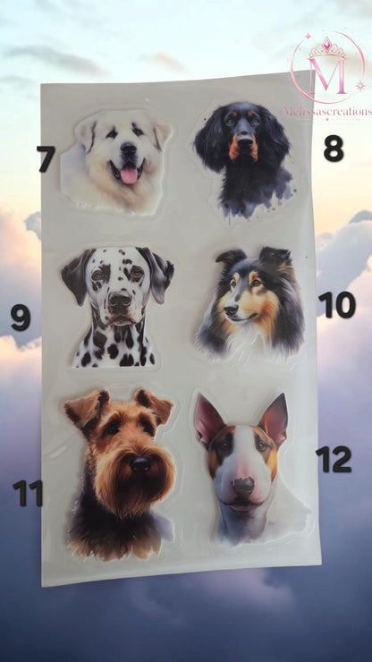 Stickers voor alleen rond of vierkant bakje 7