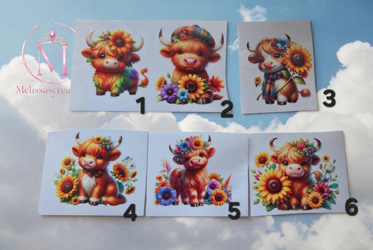 Stickers mok 38